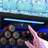 Beverage Fridge-129703798