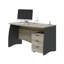 Bhanupriya Computer Desk