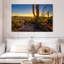 Coucher de soleil sur le parc national Harnek Saguaro-107844957