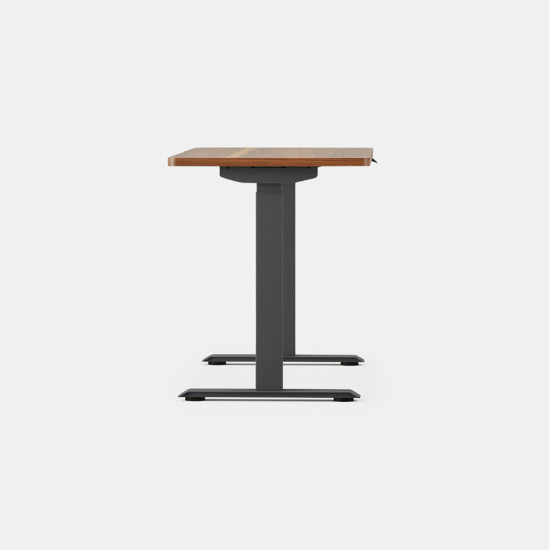 Duo Standing Desk, Walnut, Charcoal, 47.3" H x 48" W x 24" D
