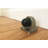 Shepherd Floor Mount Door Stop - 2 Pack