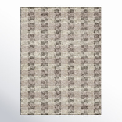 Colzie Machine Woven Plaid Indoor / Outdoor Rug