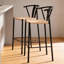 Vander Wicker Bar Stool