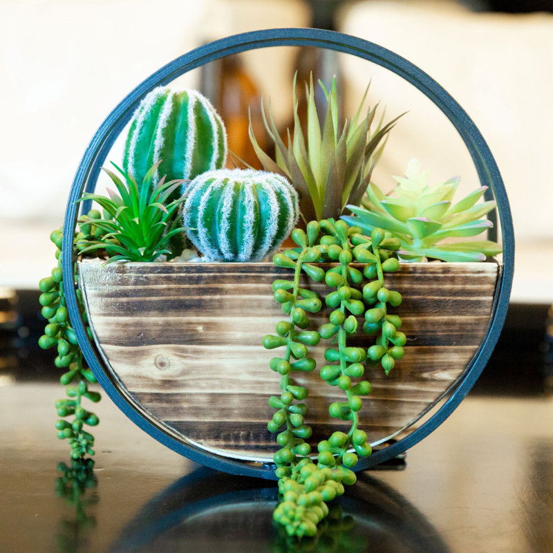 Ensemble de 5 plantes succulent artificielles dans un panier