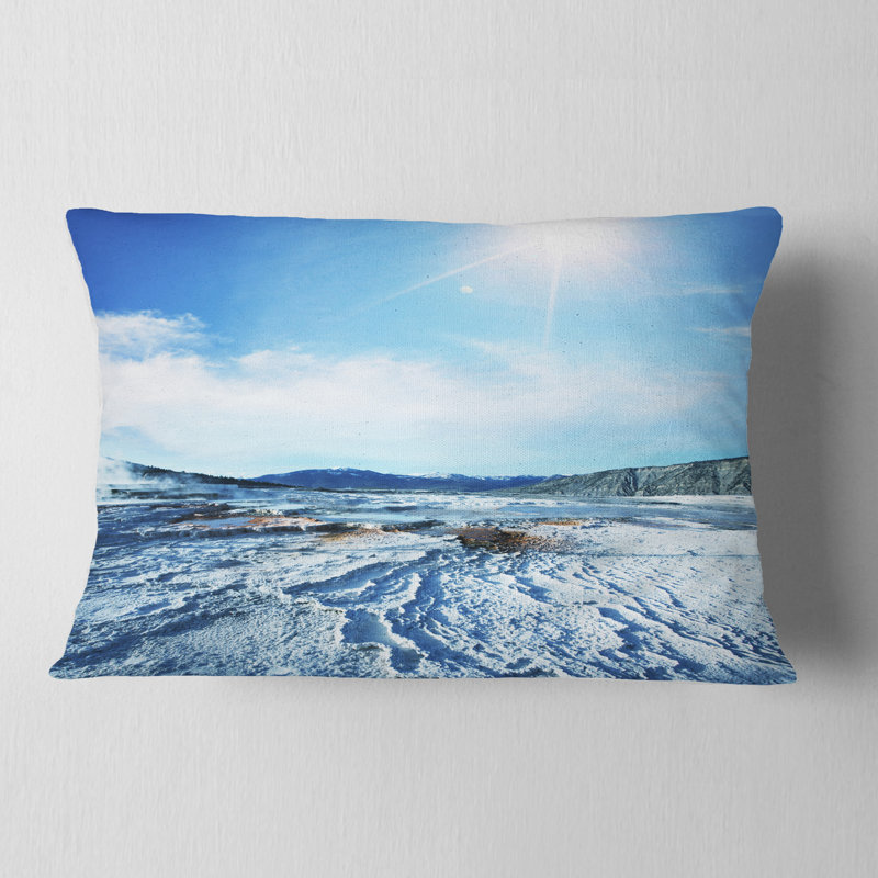 Coussin Schafer