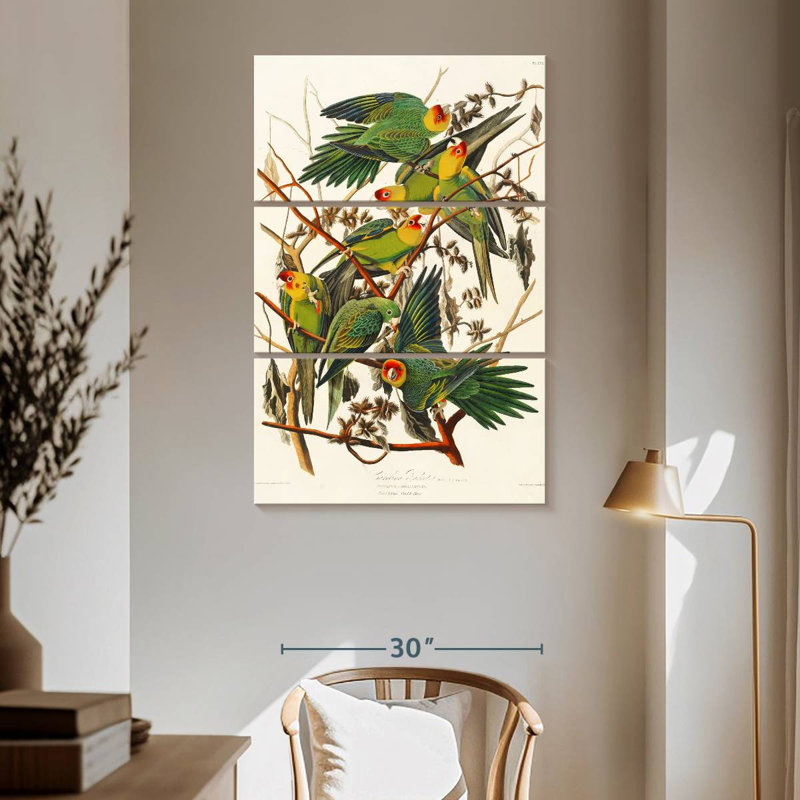 Brampt Carolina Parakeet, 65" H x 42" W