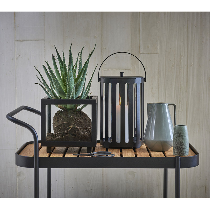 Lightbox Terarium