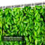 Rideau de douche Green Leaf-1576815402