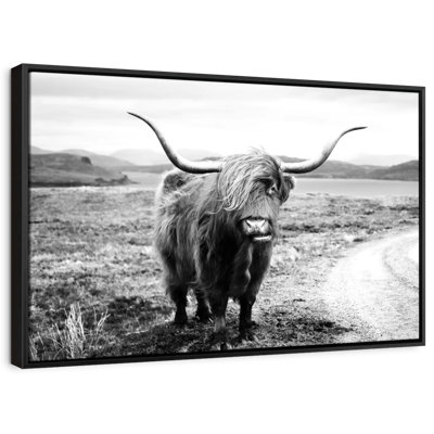 Animal «Highland Bull»