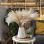 Anirvin Stoneware Floor Vase