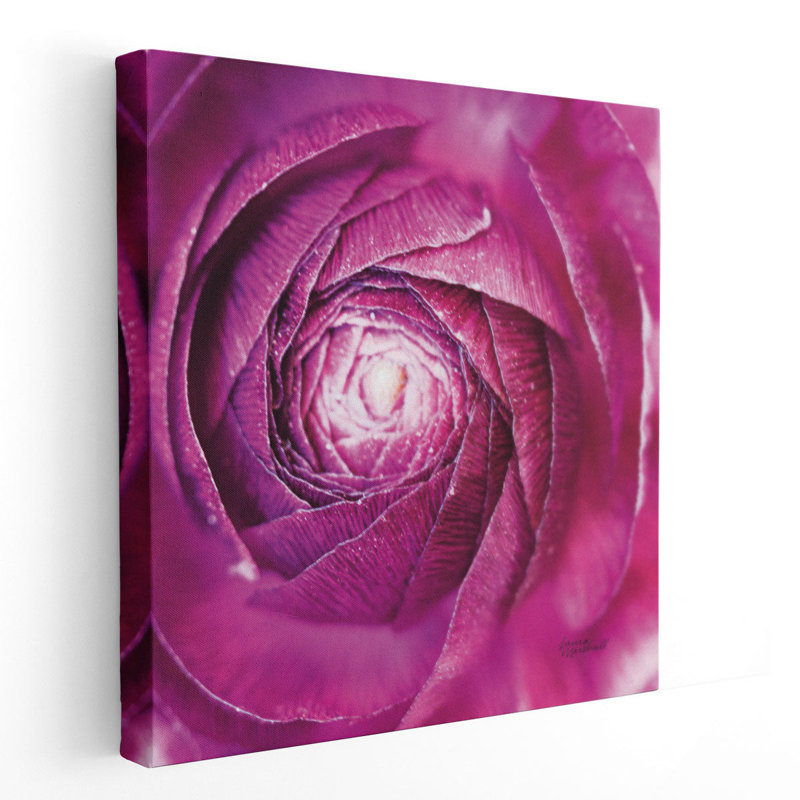 «Ranunculus Abstract I», reproduction d'art sur toile, H 30 po x l 30 po