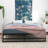 Aula 14'' Metal Platform Bed-1821731965