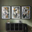 ANIMALS Series Cxxi - Impression encadrée sur mesure de qualité supérieure - 3 pièces-783473734