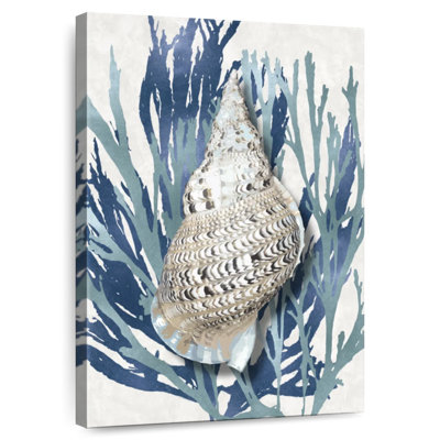 Shell coral aqua blue i Aletra
