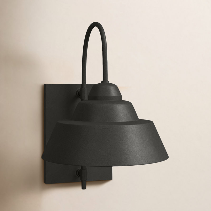 Luminaire de grange d'extérieur noir Dion, H 15 po x l 13 po x P 10,75 po
