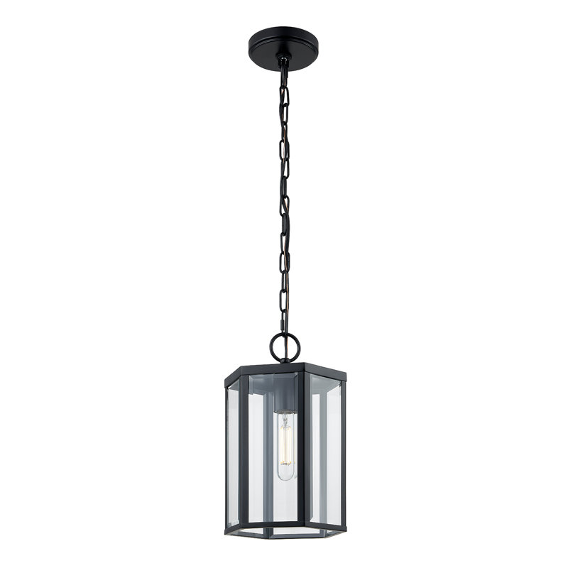 Fusion - Edgeworth Outdoor Pendant - Matte Black - Clear Glass Shade