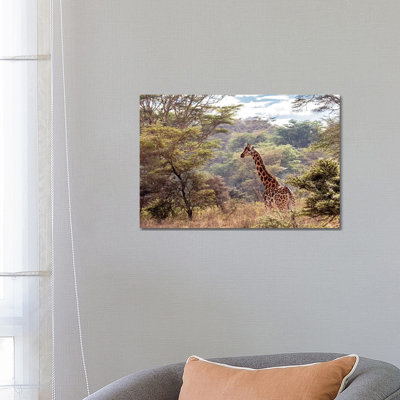 Rothschild Giraffe in Lake Nakuru Kenya 1 Piece Wrapped Canvas Wall Art