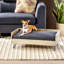 DOG BED