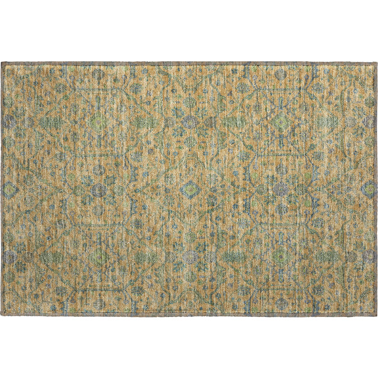 Premium Machine Washable Ducote AMF1131 Global Rug