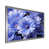 Silver Picture Framed is unavailable