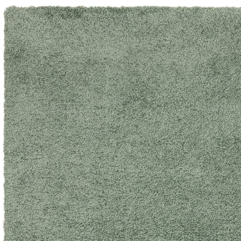 Taiwo Shaggy Sage Area Rug, Rectangle 160 x 230 cm