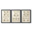 Pièces de monnaie romaines antiques I - Impression encadrée sur mesure de qualité supérieure - 3 pièces