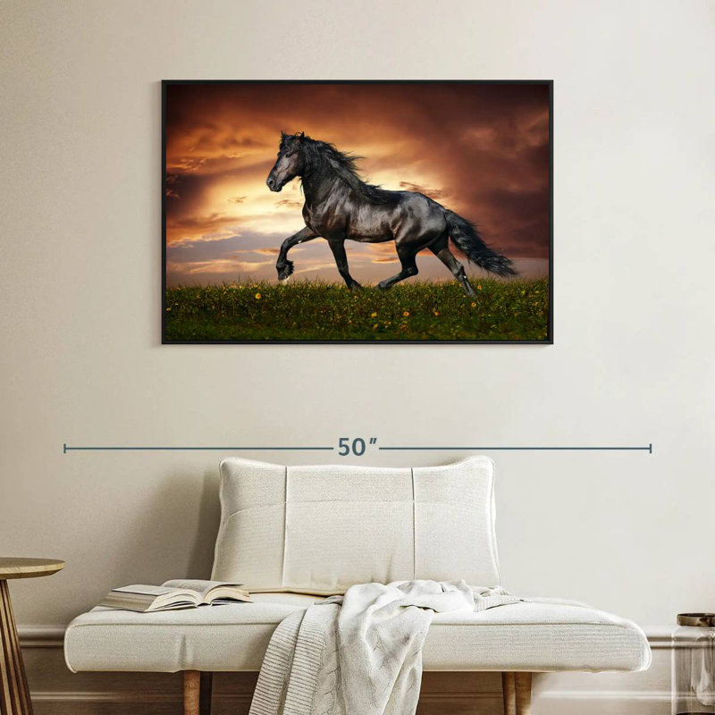 Cheval baroque, Cadre flottant noir, 40 po x 27 po