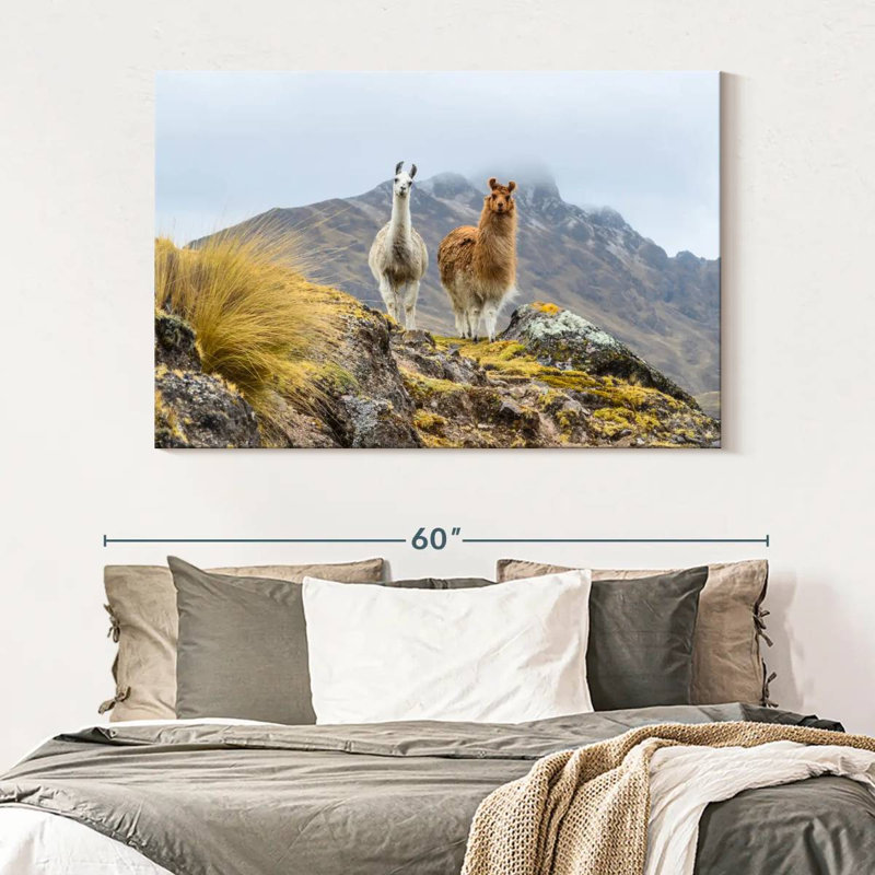 Lamas sur une crête, H 34 po x l 51 po