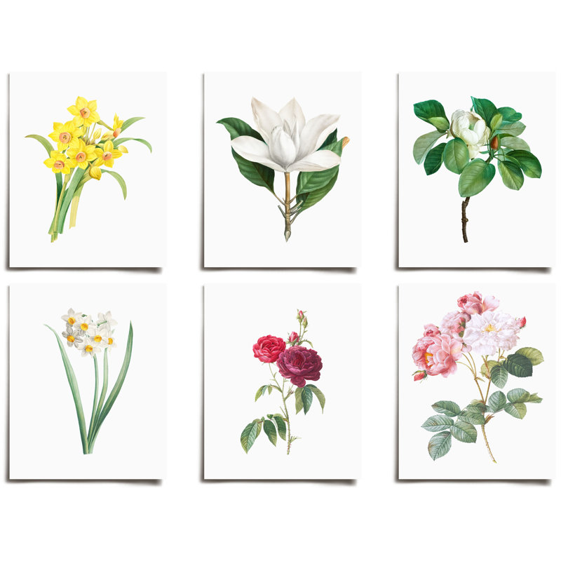 Ensemble de 6 impressions rétro sur papier, jonquille, magnolia et rose, H 5 po x l 5 po