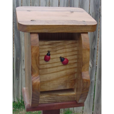 Pagel 10 in. H x 8 in. W x 6 in. D Freestanding Ladybug House