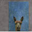 «What Up Llama», reproduction sur toile tendue-27175555