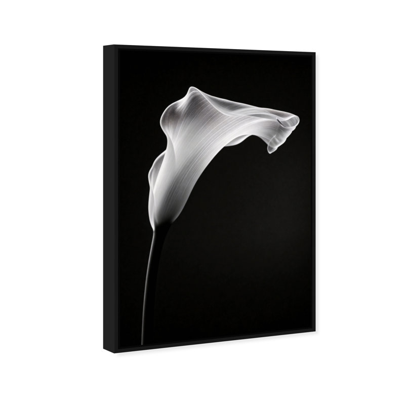 Calla Lily II by Oliver Gal, 31" H x 21" W, Black Floater Frame