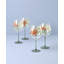 Glass Glassware