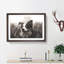 Border Collie Dog In A Meadow Painting - Single Picture Frame Print on MDF-56634460-56634461