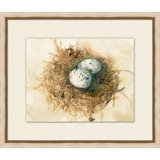 Le Nid D'oiseau 2 Print