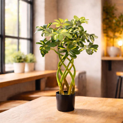 70cm Faux Arboricola Plant in Pot Liner