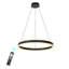 Luminaire suspendu à DEL Dilnoza-320315934-289721281