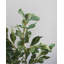 Faux Branch