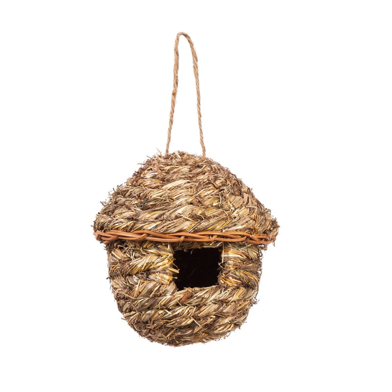 Maison d'oiseaux Hocking 6 po x 5,5 po x 5,5 po