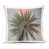 Pink Palm selected