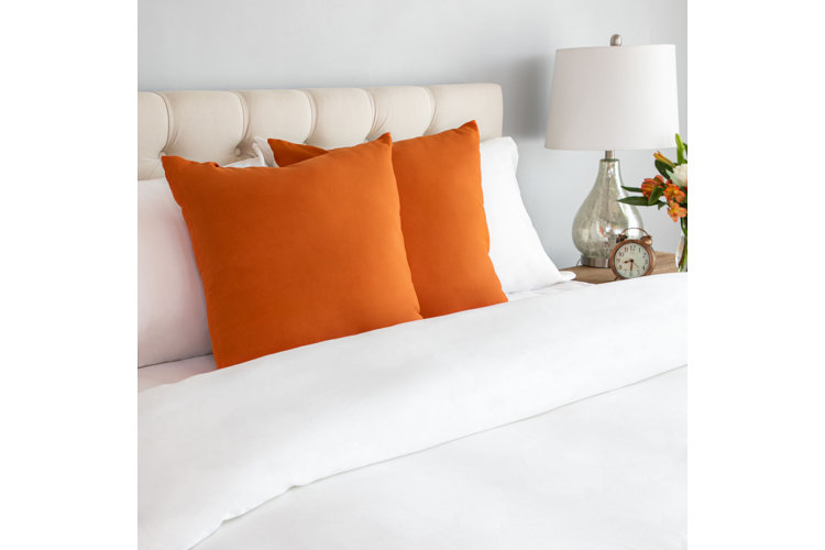 Wayfair Basics® Square Throw Pillow