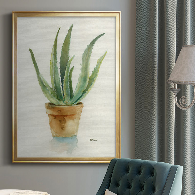 Succulent IV, reproduction encadrée de qualité supérieure, prête à être accrochée, Encadrement doré, L 30,5 po x H 42,5 po
