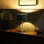 Dadiva Brushed Chrome Stem Table Lamp with Velvet Reni Shade-1570921146-1570921149-1596699737