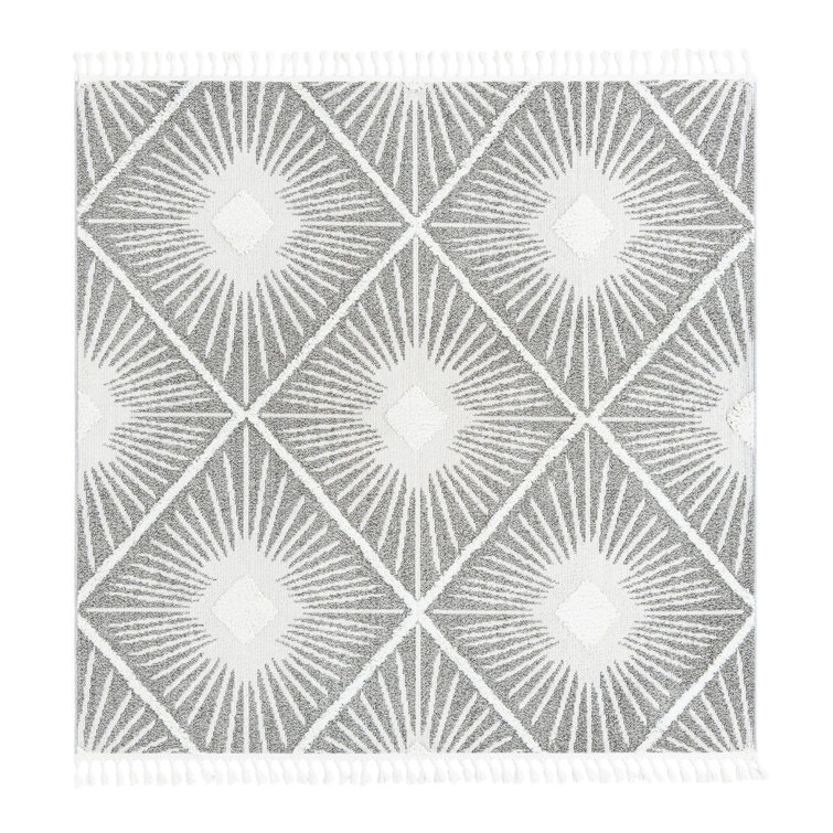 Jojean Geometric Indoor Rug