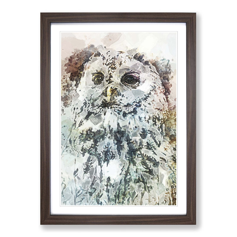 Tawny Owl in Abstract - Picture Frame Graphic Art Print on MDF, Walnut Framed, 65cm H x 48cm W x 2cm D