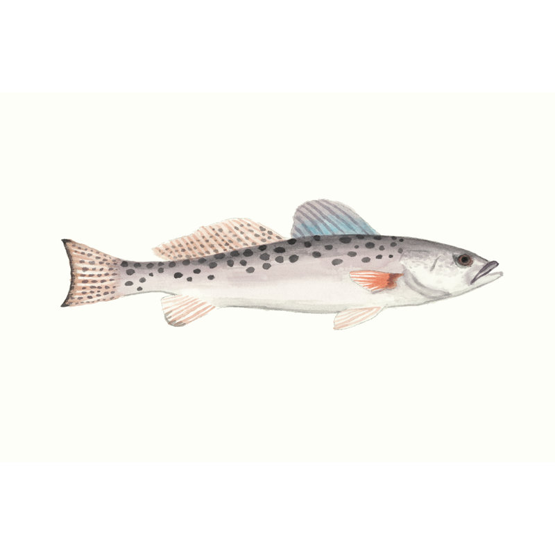 Watercolor Deep Sea Fish IV, 81cm H x 122cm W