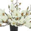 Magnolias Arranged in a Ceramic Pot