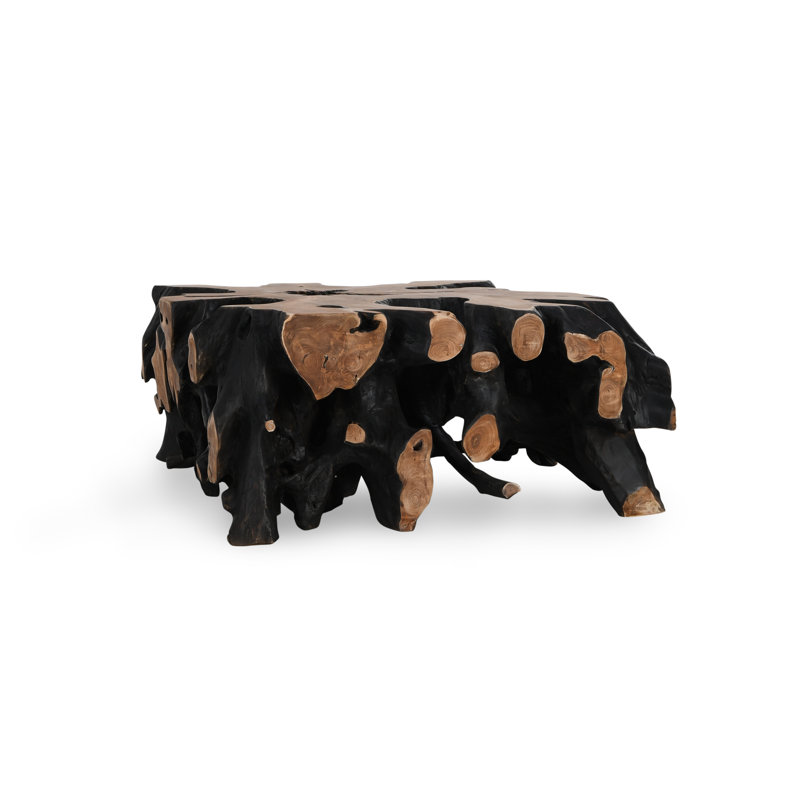 Cypress Root 40" Square Coffee Table Black/Natural