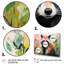 «Black and Green Raccoon Flower II - Raton laveur», ensemble de 5 décorations murales-555377521