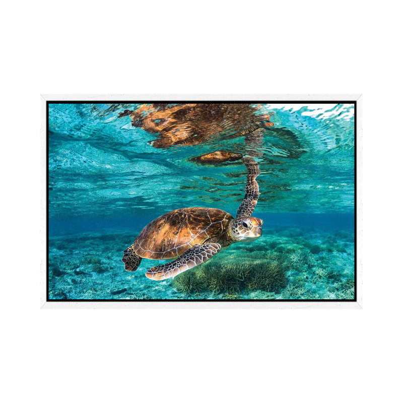 Hey You by Jordan Robins - Print on Canvas, 101.6 cm H x 66.04 cm W, White Framed